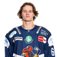 Manuel Alberg