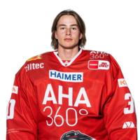 Niklas Grassinger
