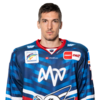 Borna Rendulic