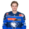 Dominik Zerhoch