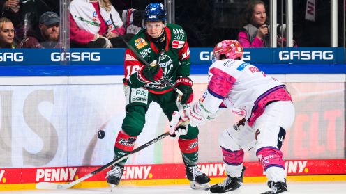 Eisbären Berlin gg. Augsburger Panther