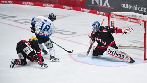 Löwen Frankfurt gg. Straubing Tigers