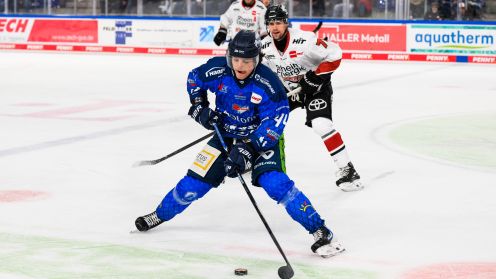 Straubing Tigers gg. Kölner Haie