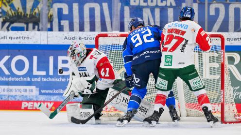 ERC Ingolstadt gg. Augsburger Panther