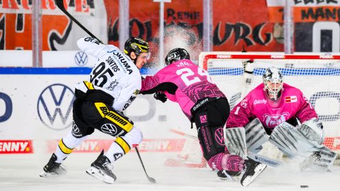 Grizzlys Wolfsburg gg. Krefeld Pinguine