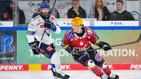 Pinguins Bremerhaven gg. ERC Ingolstadt